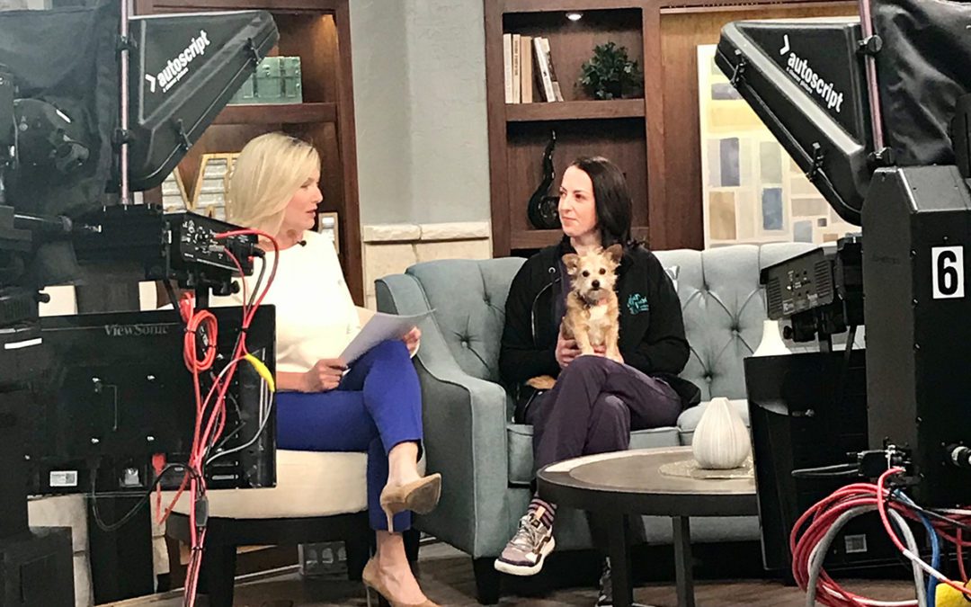 Dana-Novara-Mile-High-Living-1080×675